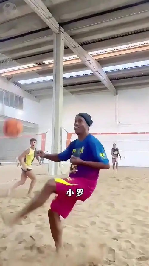 各参与机构